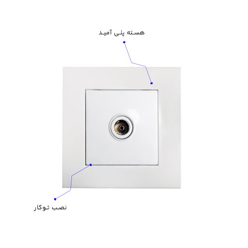 پریز آنتن جهان کارن سفید